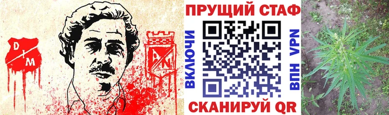 Названия наркотиков Заозёрск Гашиш  Каннабис  Альфа ПВП  Меф мяу мяу 