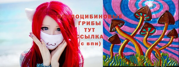 МДПВ Арсеньев