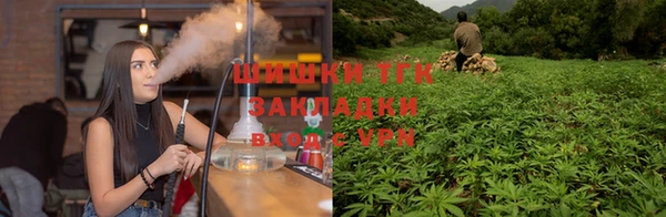 спайс Аркадак