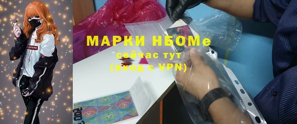 прущие грибы Балахна
