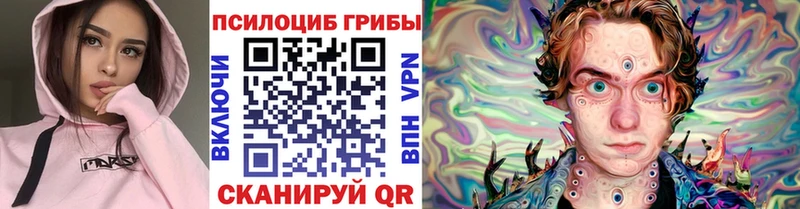 как найти закладки  Заозёрск  Псилоцибиновые грибы Cubensis 
